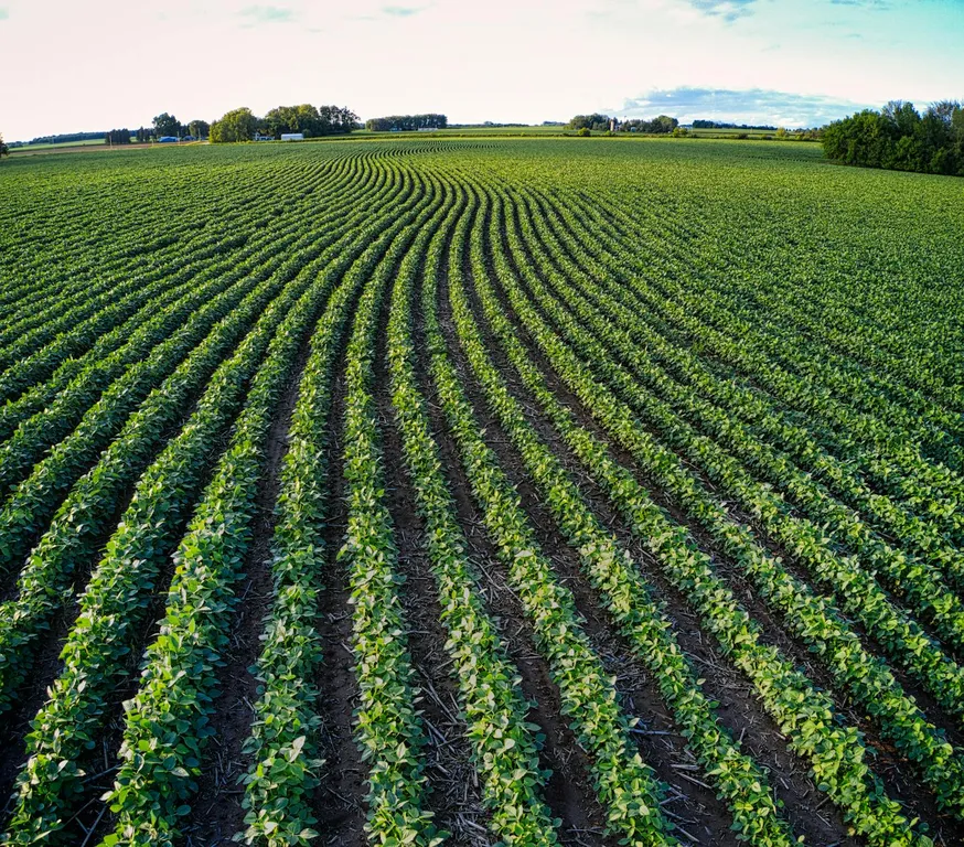Astuce pour acheter un terrain agricole