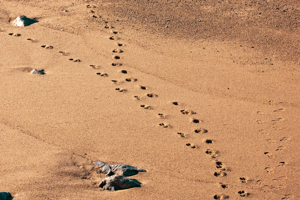 mise-a-jour-janvier-2026